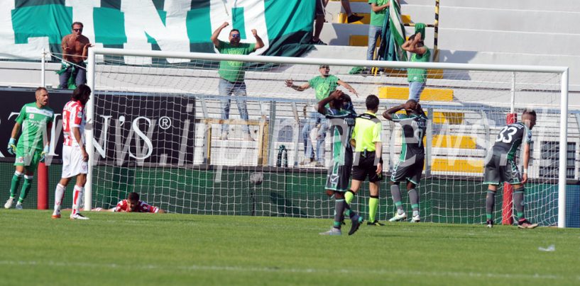 Avellino bello e sprecone: a Vicenza è solo pari. Rivivi il live