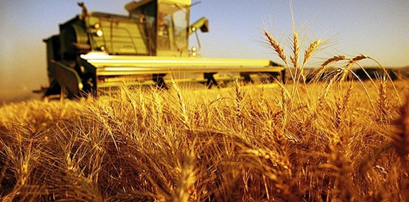 Formazione in agricoltura, corsi sui fitofarmaci a Monteforte
