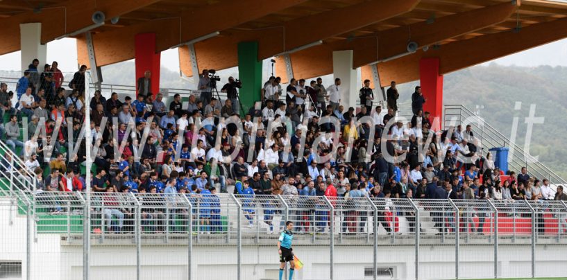 Avellino Calcio – Giovanili, caos nel derby: il club silura il tecnico Scafa