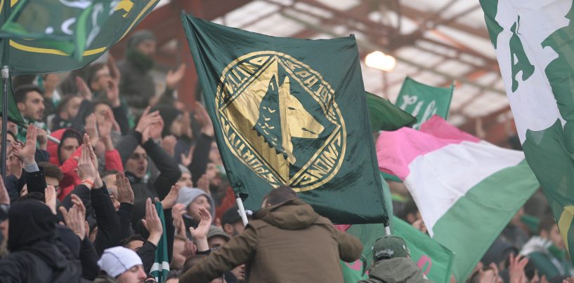 Avellino Calcio – Lupi a Cesena: il dato parziale della prevendita