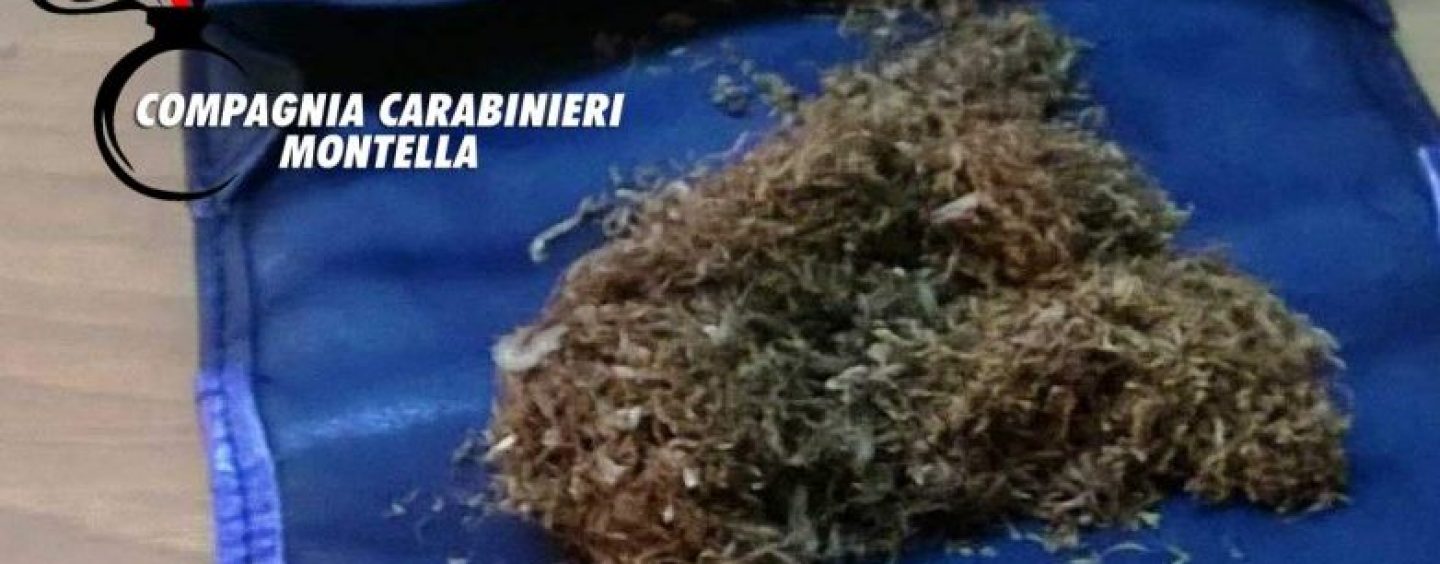 Consumo di droga tra i più giovani, il bilancio dell’Arma tra denunce e segnalazioni