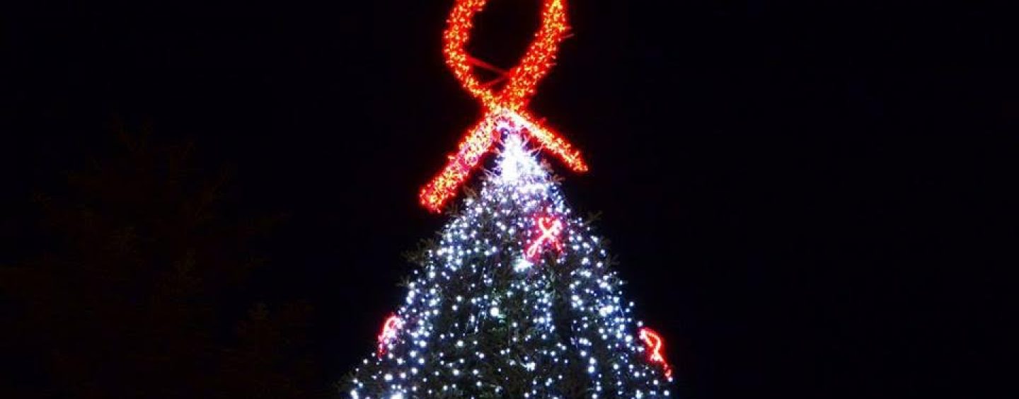 Caposele, si accendono le luminarie dell’abete ai piedi del Santuario di S. Gerardo