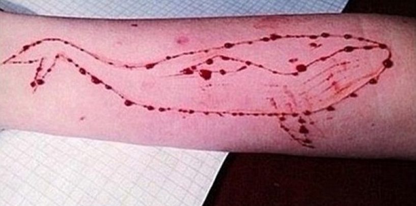 Blue Whale ad Avellino: annuncia per scherzo il suicidio, scatta la denuncia