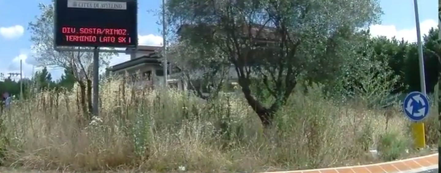 La città è una foresta, Petitto: “Colpa di IrpiniAmbiente. Foti e i vigili intervengano”