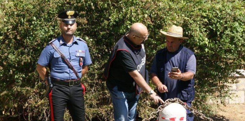 Danneggiata la recinzione dell’arco di Traiano, verifiche e sopralluogo dei Carabinieri