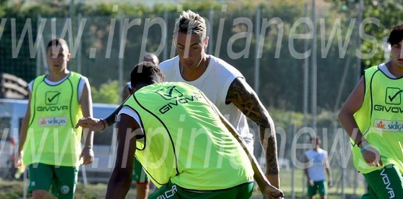 DIARIO DAL RITIRO/ Avellino, goleada al Team Umbria con Ardemagni scatenato