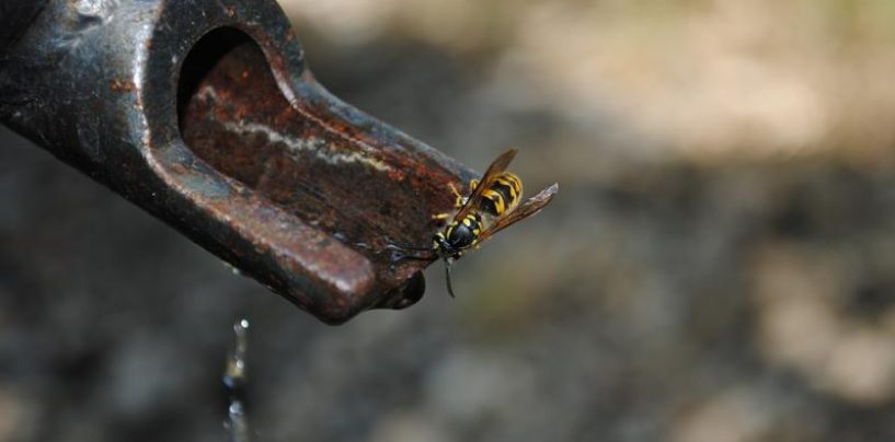 Col caldo torna la crisi dell’Alto Calore: Ariano senz’acqua di notte