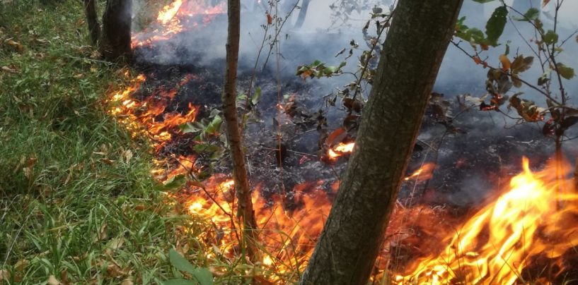 Rischio incendi, via libera al piano triennale della Regione