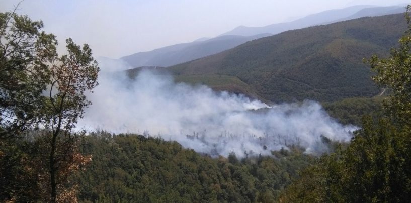 L’Irpinia brucia: dopo Bonito, fiamme anche a Montoro