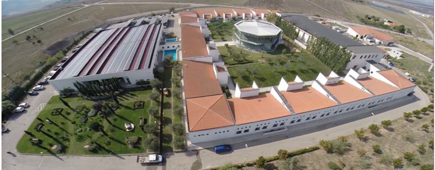 Ariano, positiva al Covid-19 ma lo scopre 18 giorni dopo il tampone. Biogem: “Errore nella trasmissione di alcuni dati”