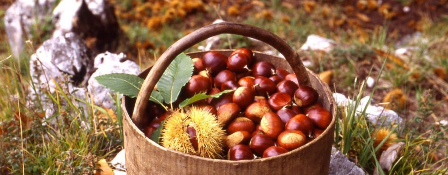 Sagra della Castagna di Cervinara, da domani enogastronomia protagonista tra i vicoli del borgo