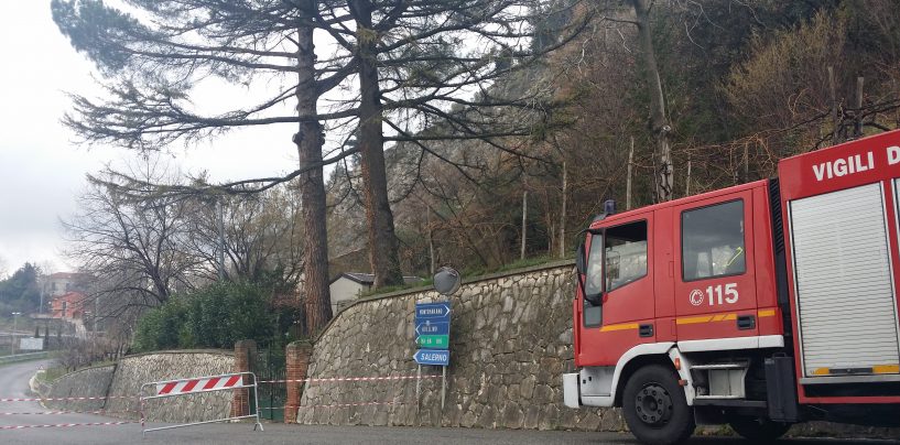 Albero pericolante, chiuso l’accesso per Salza Irpina