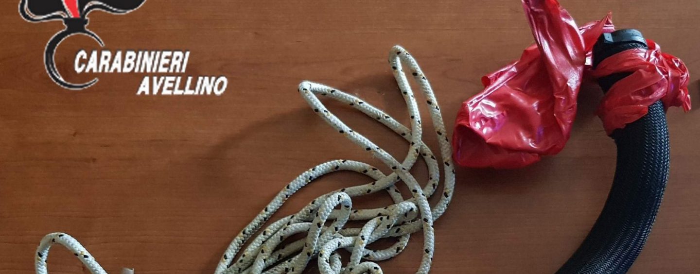 “Se non ti uccide il freddo ti uccido io domani”: legano l’amico in un bosco per 25 euro