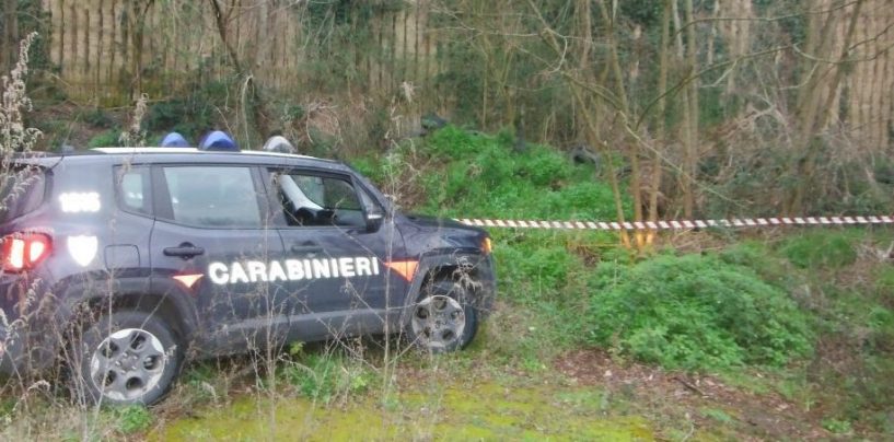 I carabinieri scoprono una stalla abusiva in un fondo privato: denunciate 5 persone