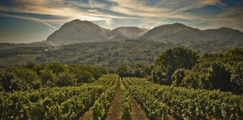 “Ciak Irpinia” a Montemiletto: è già conto alla rovescia