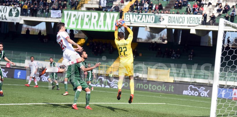 Avellino Calcio – Portieri, sarà rivoluzione: le opzioni di mercato