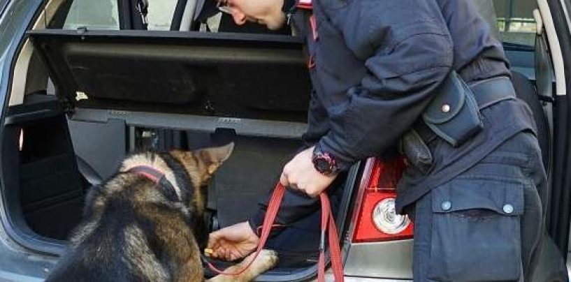 Sorpreso con hashish e marijuana in casa: ai domiciliari un 18enne