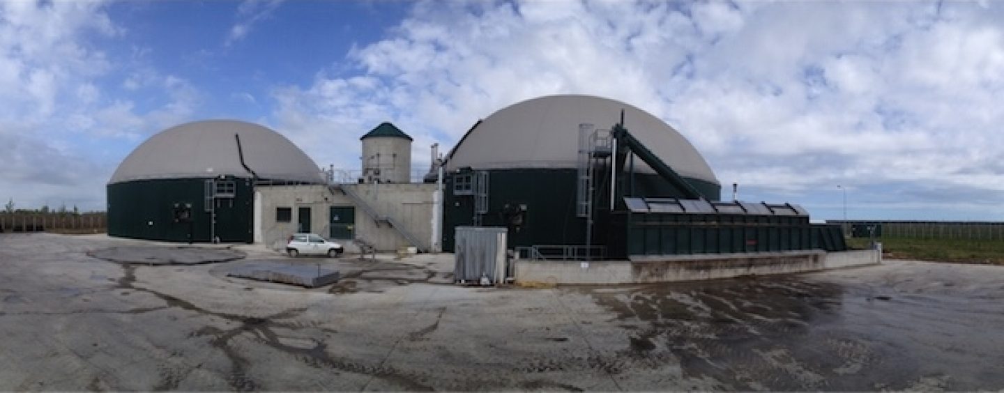 Biodigestore, Fortunato (Forza Nuova): “Il sindaco di Petruro sia più concreto in questa battaglia”