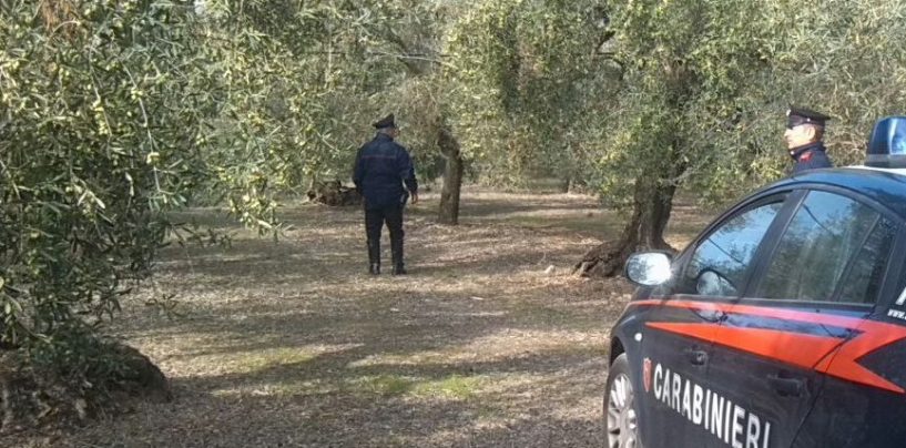 S’impicca in un deposito agricolo: 79enne si toglie la vita