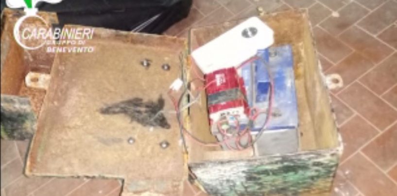 Blitz antibracconaggio, la Forestale “bonifica” un bosco, ora è caccia ai bracconieri