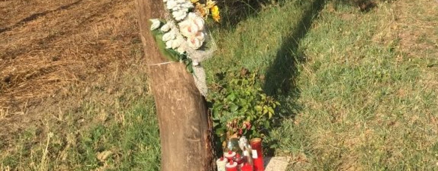 I genitori di Thomas: “Nostro figlio morto per una quercia che non doveva stare lungo quella strada”