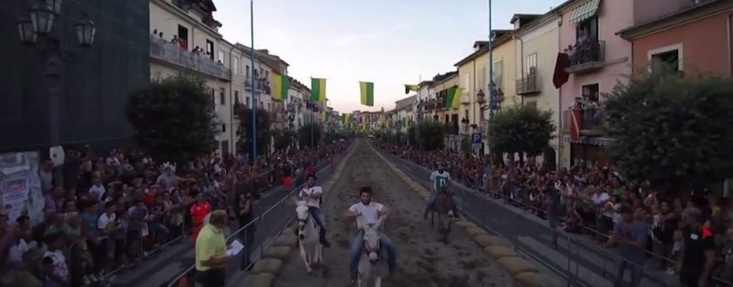 Il Palio dell’Anguria compie 40 anni, domani la presentazione al Circolo della Stampa