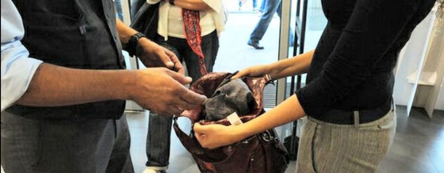 Sorprese mentre rubano prodotti di bellezza in un supermercato, ora due ragazzine sono nei guai