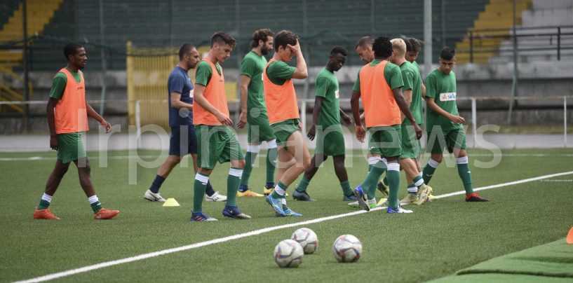 SSD Avellino, ecco il logo: il comunicato del club di De Cesare