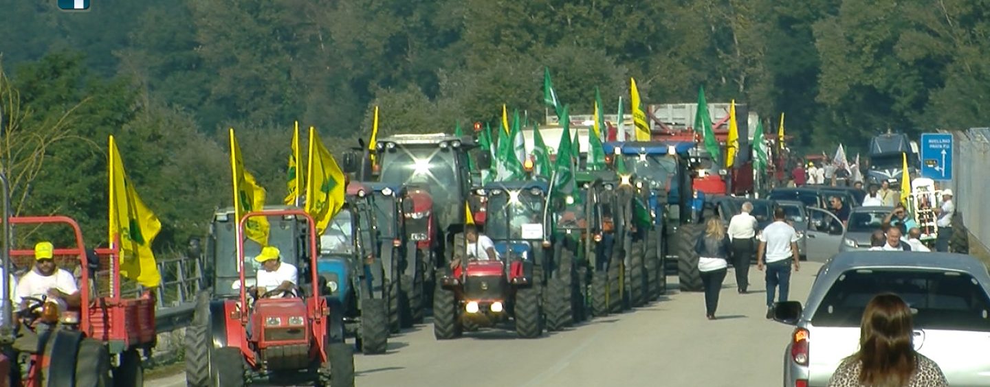 Il Coordinamento “no al biodigestore” apre al tavolo regionale: “Condivisione e trasparenza”