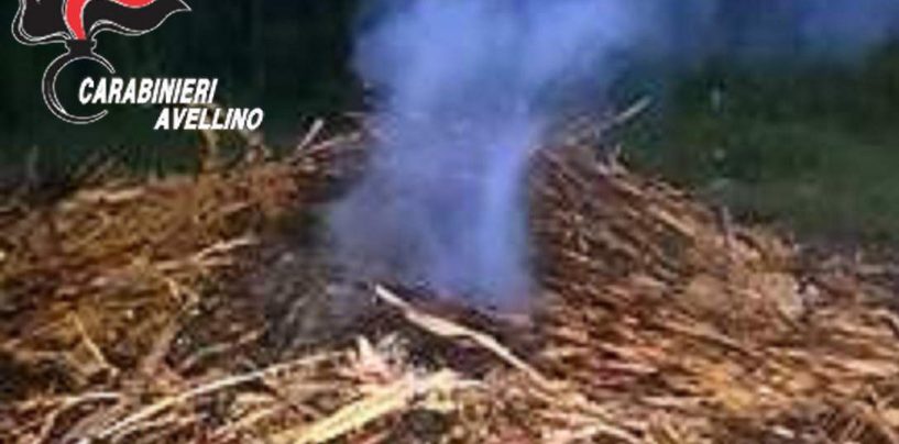 Appicca fuoco per smaltire sterpaglie e materiale plastico: denunciata