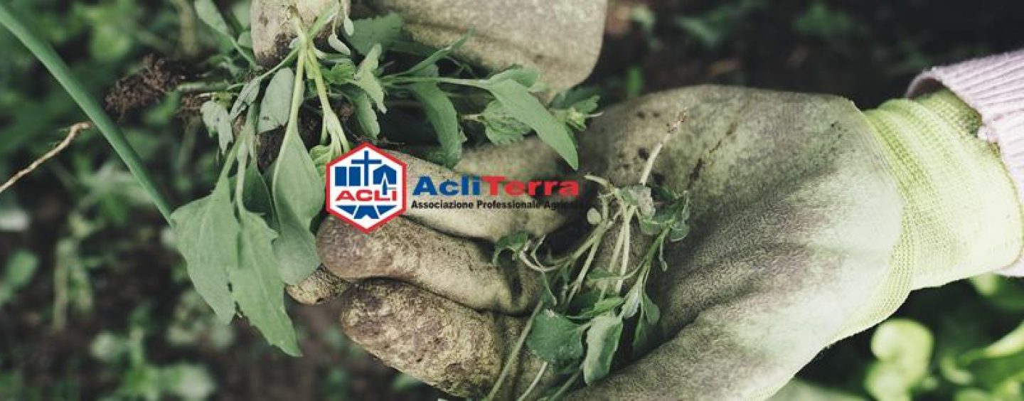 AcliTerra: alla Fiera del Gusto arriva il primo Festival dell’agricoltura e consumo consapevole