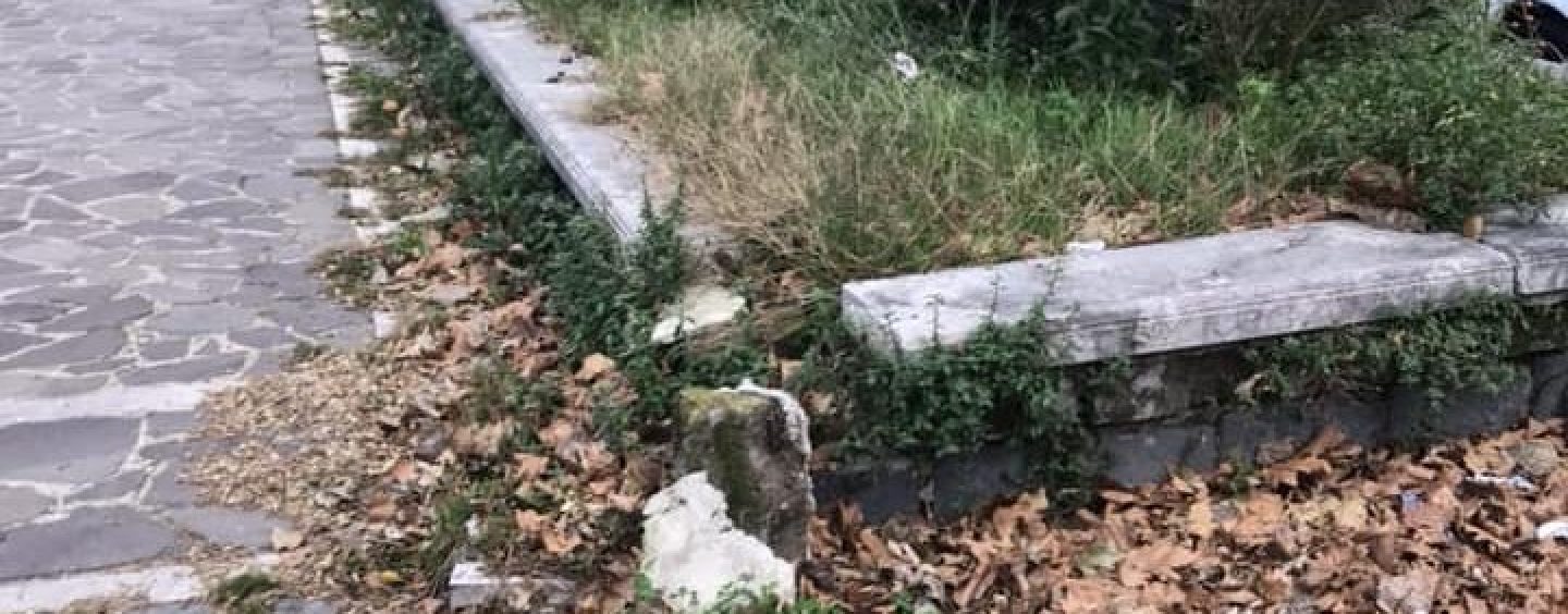 Viale Italia, l’appello di Maglione per superare il degrado: “Adottiamo noi le aiuole”