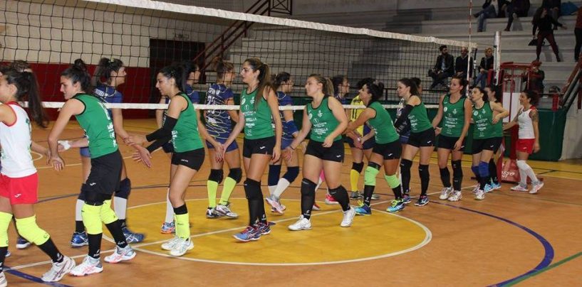 L’Avellino Volley si prepara ad affrontare il Benevento, Sacco: “Contiamo sull’apporto del nostro pubblico”