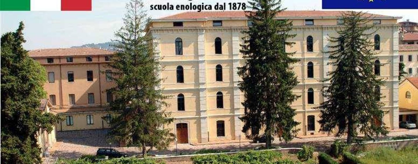 “Biotecnologie nel processo di vinificazione”, giovedì 21 febbraio il seminario al De Sanctis di Avellino