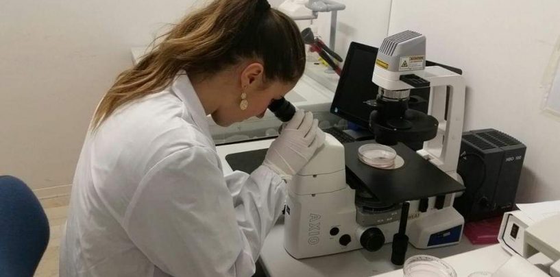 Menti irpine sbarcano negli USA, la giovane Rachele a Washington per curare l’Alzheimer