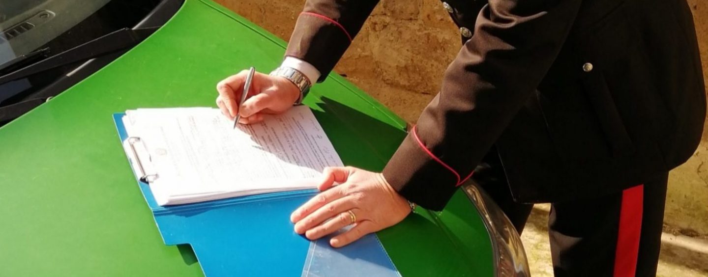 Furto di legna e manodopera senza permesso di soggiorno: nei guai una ditta di Solopaca