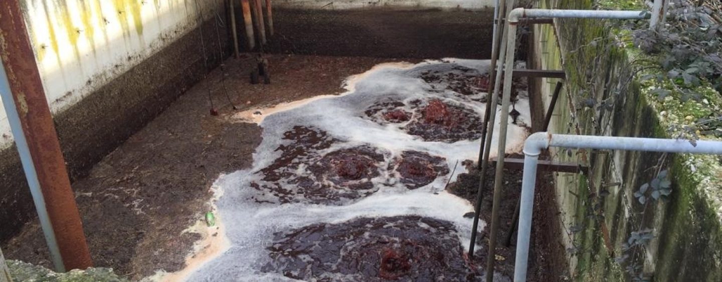 Il fiume Calore diventa rosso, i forestali di Benevento sequestrano scarico abusivo di un mattatoio