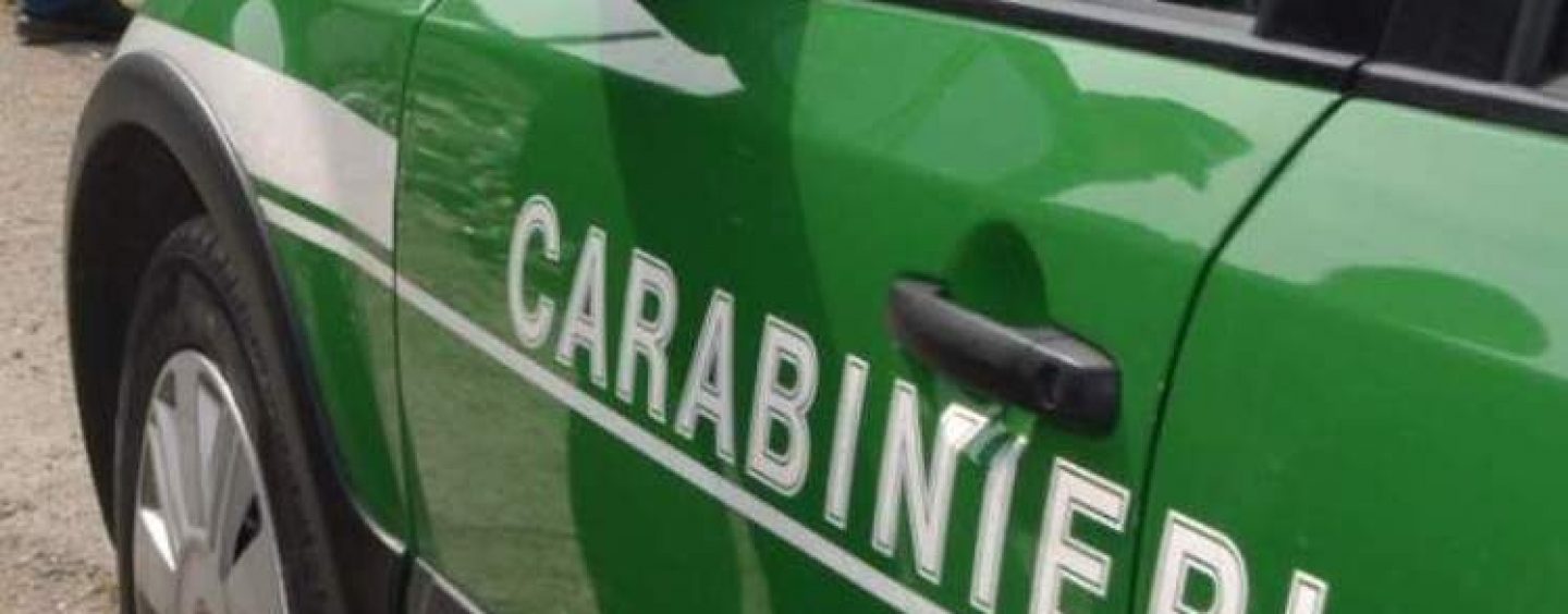 Scarichi non autorizzati e abusi edilizi: titolare di un’officina denunciato dai forestali