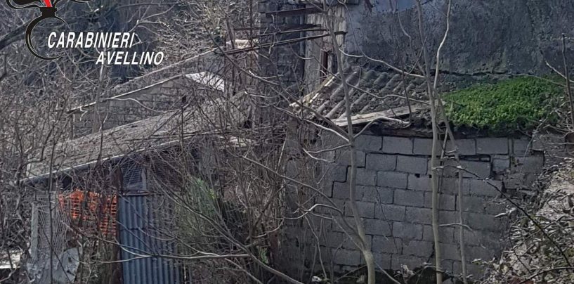 Pannelli di eternit e discarica a cielo aperto, i forestali scoprono nuovo abbandono di rifiuti