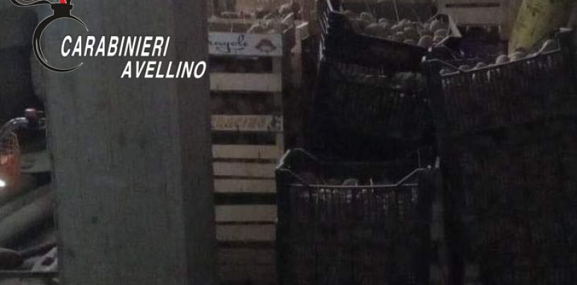 Abusi edilizi e violazioni norme sulla rintracciabilità alimenti: 9 denunce