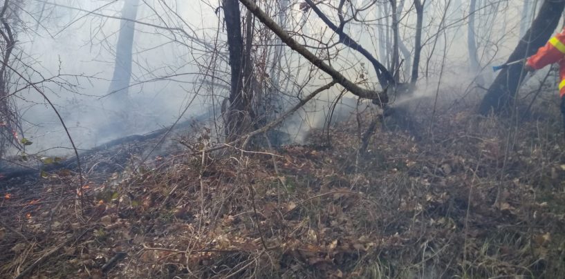 L’Irpinia brucia già: roghi a Summonte e Volturara