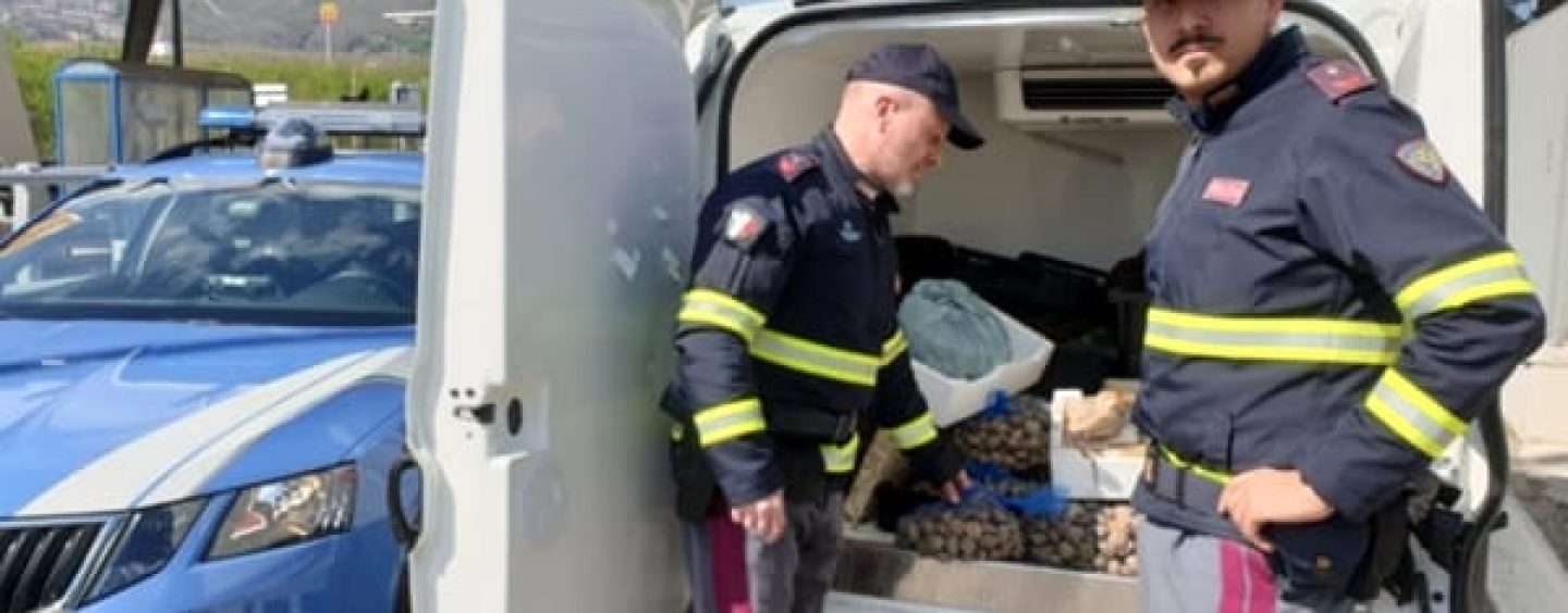Sequestrati 4 quintali di frutti di mare, la Polstrada intercetta un furgone-frigo sull’A16