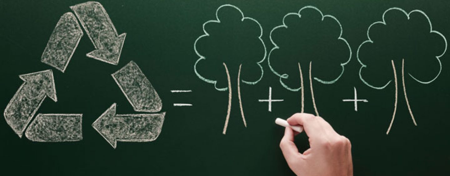 Riciclo e riuso dei rifiuti, scelti i 15 migliori elaborati: borse di studio per due scuole irpine