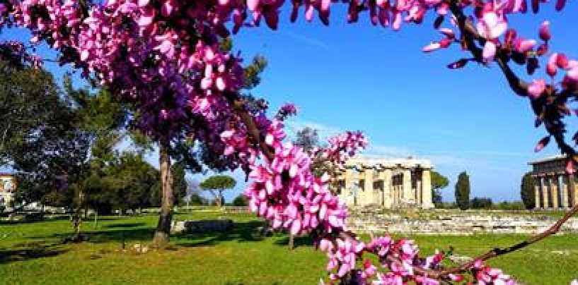 Pasquetta tra i templi di Paestum: area archeologica e museo aperti regolarmente