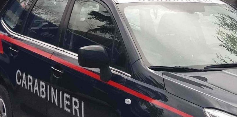 Cane da tartufo abbandonato a Bagnoli: denunciato 25enne