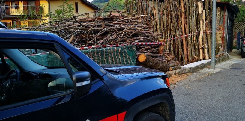 Ruba 15 quintali di legna dal parco del Partenio: una persona denunciata