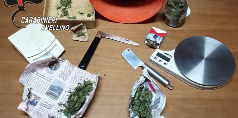 Semi di canapa e marijuana pronta per lo spaccio, il fiuto di Tex incastra un 52enne