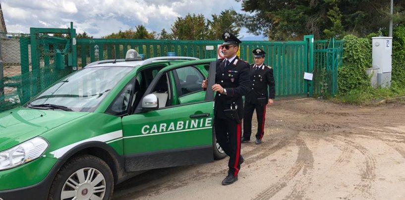Lavoro nero, multa da 11 mila euro al titolare di un’azienda boschiva