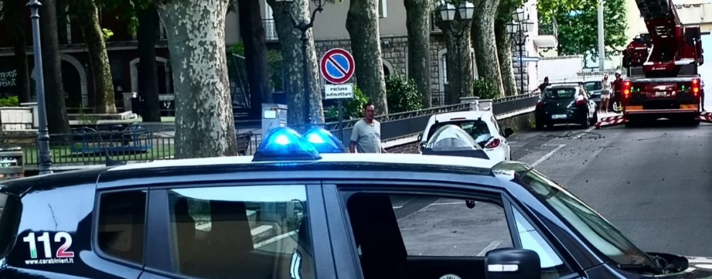 Caduta di rami secchi a due passi da un parco giochi ad Ospedaletto: tanta paura, nessun ferito
