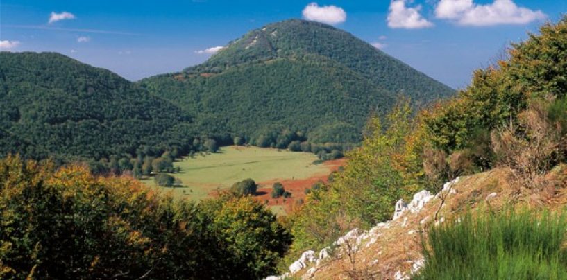 Sviluppo turistico e promozione agricoltura sociale, i bandi del Gal Partenio